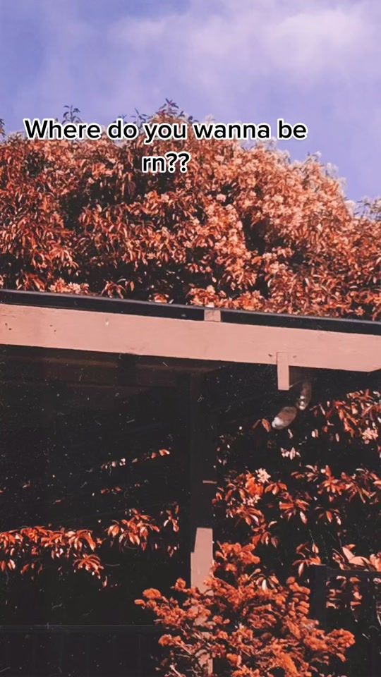 TikTok video thumbnail by simp..hubb17