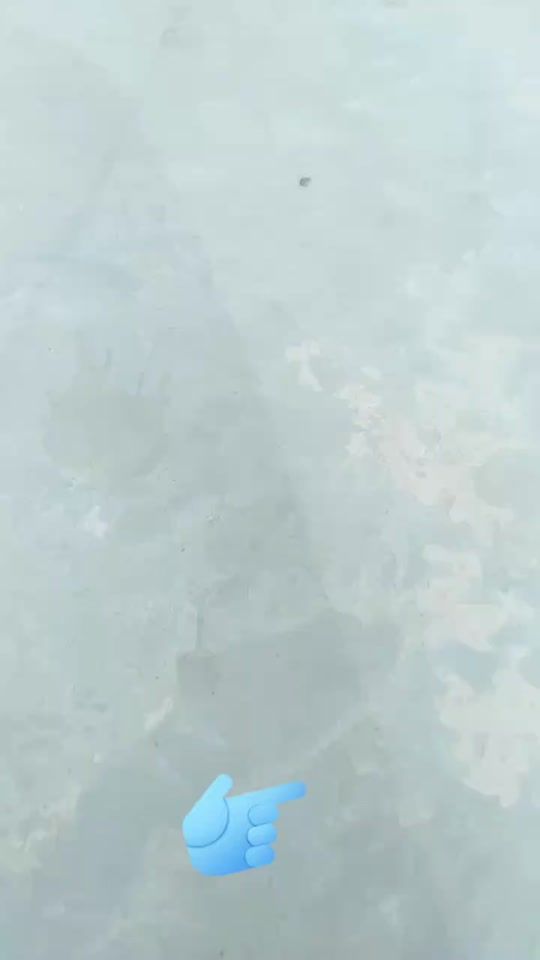 TikTok video thumbnail by sonamlimbu281