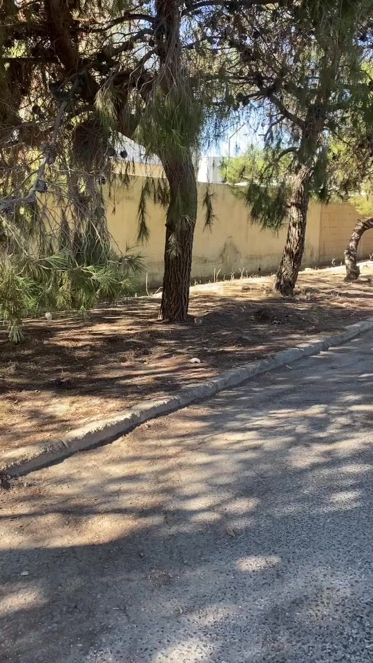 TikTok video thumbnail by samer_alshaneneh