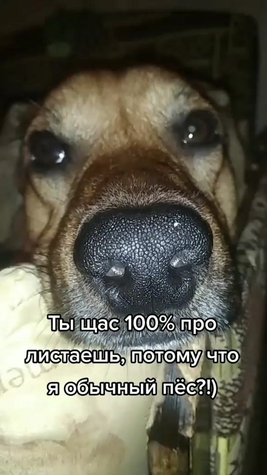 TikTok video thumbnail by syoma_boy