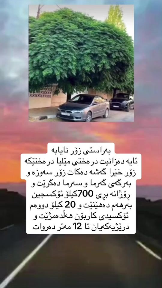 TikTok video thumbnail by _.mane._5