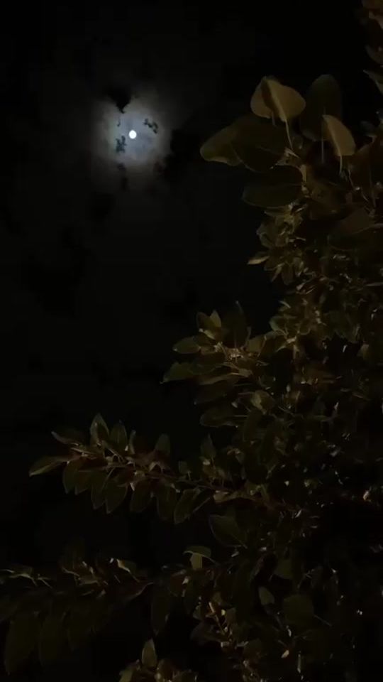 TikTok video thumbnail by asaaeh1234