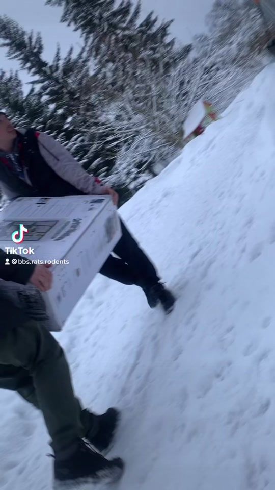 TikTok video thumbnail by rat_home_spb