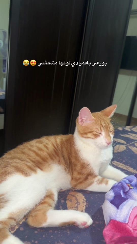 TikTok video thumbnail by gaamaaal1
