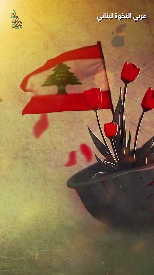 TikTok video thumbnail by bayareq1