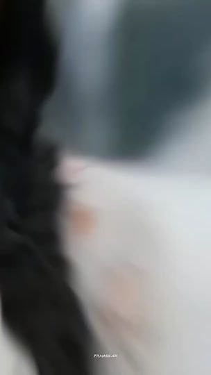 TikTok video thumbnail by vithu_2799