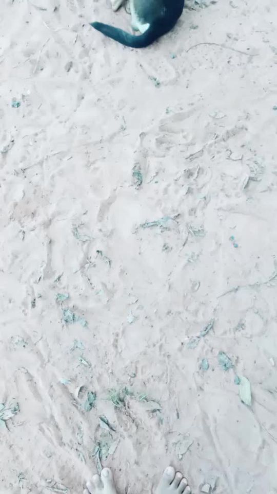 TikTok video thumbnail by 2164815900
