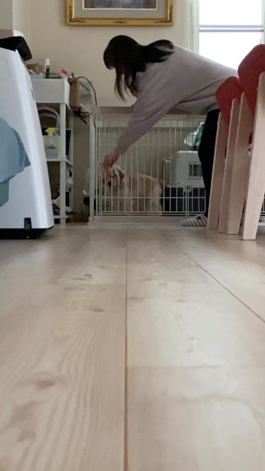 TikTok video thumbnail by tkskun8835