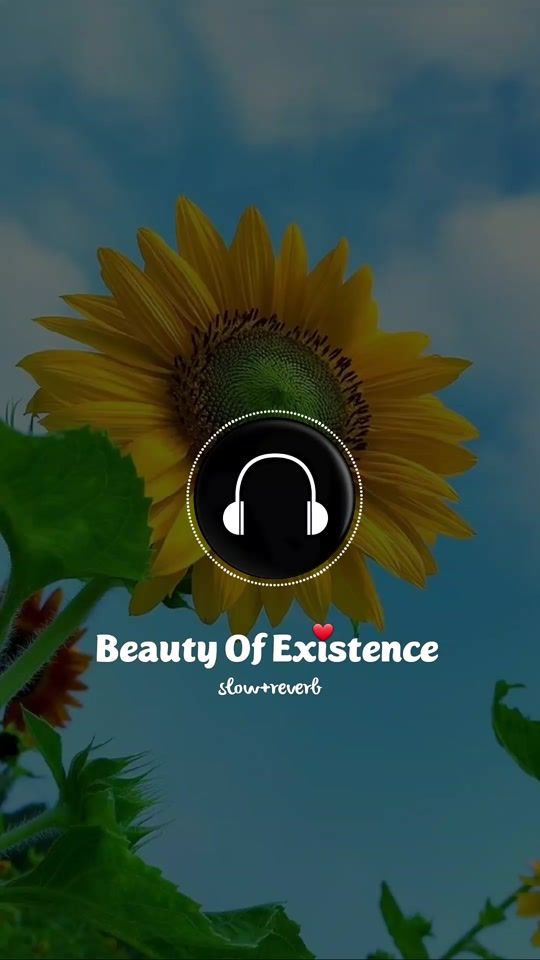 TikTok video thumbnail by usama_awan877