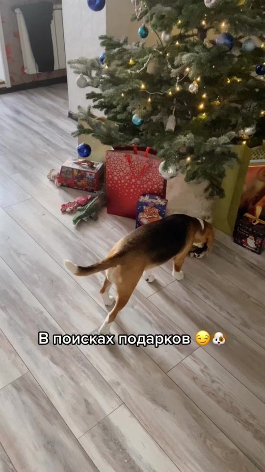 TikTok video thumbnail by artic__ice