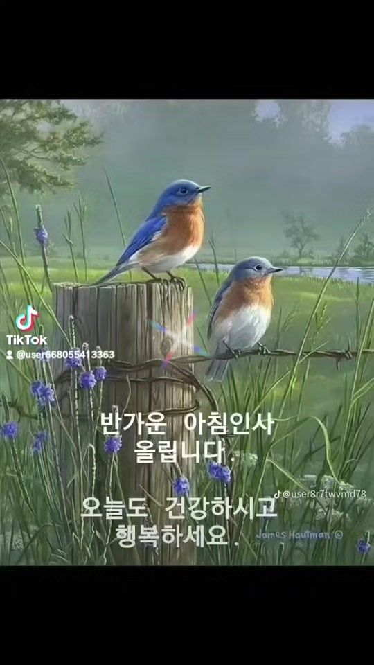 TikTok video thumbnail by user668055413363
