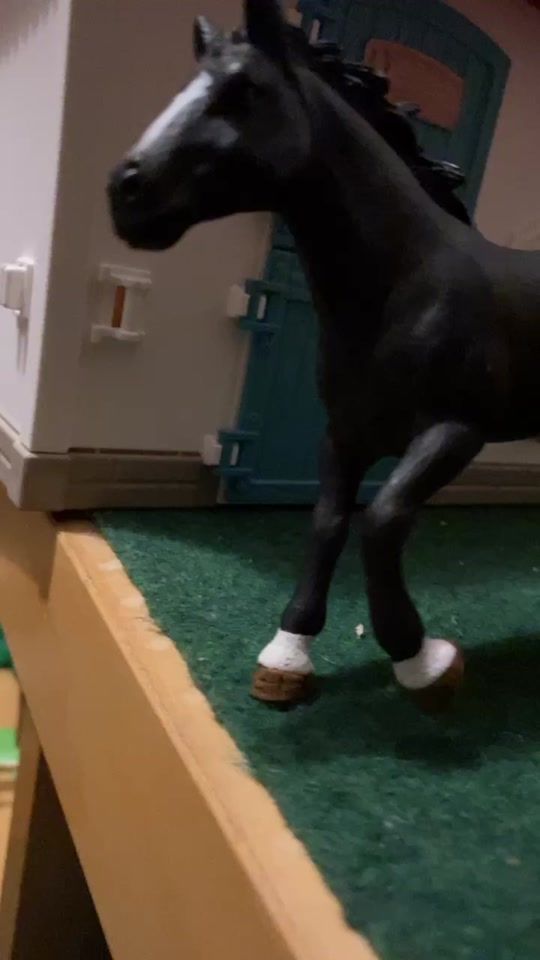 TikTok video thumbnail by schleich708