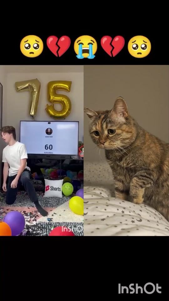 TikTok video thumbnail by junpx55