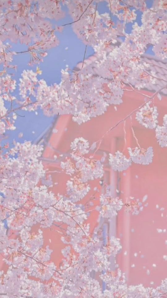 TikTok video thumbnail by its_mia102