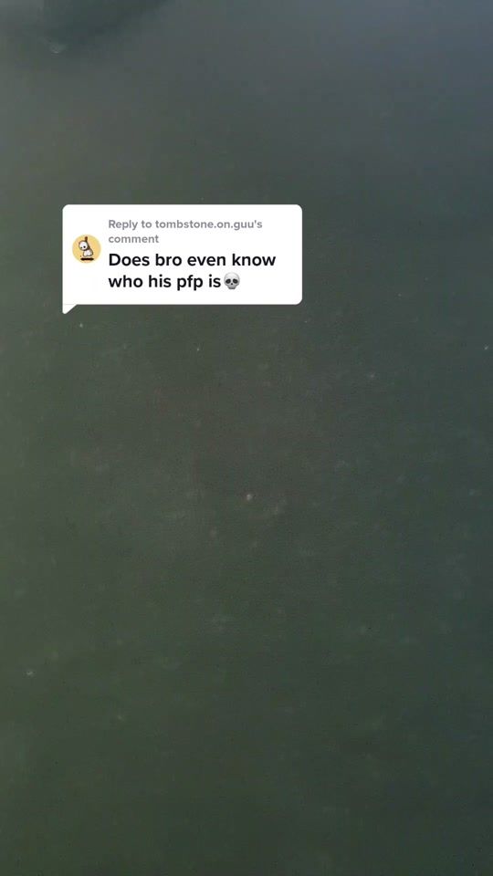 TikTok video thumbnail by borkzzisdaddy