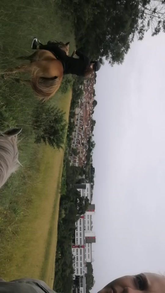 TikTok video thumbnail by tersiavanniekerk1908