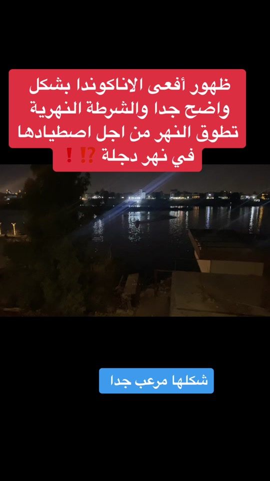 TikTok video thumbnail by tammar40