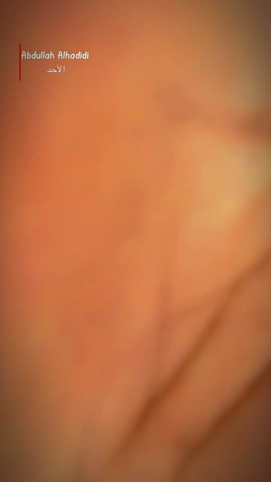 TikTok video thumbnail by abdullahal_hadidi