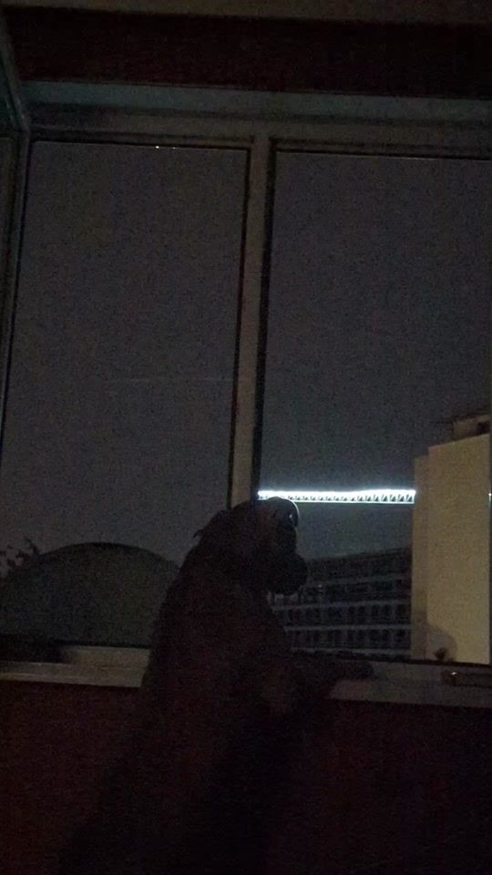 TikTok video thumbnail by koraa_apbt