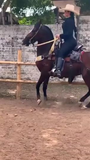 TikTok video thumbnail by caballosymusica_colombia