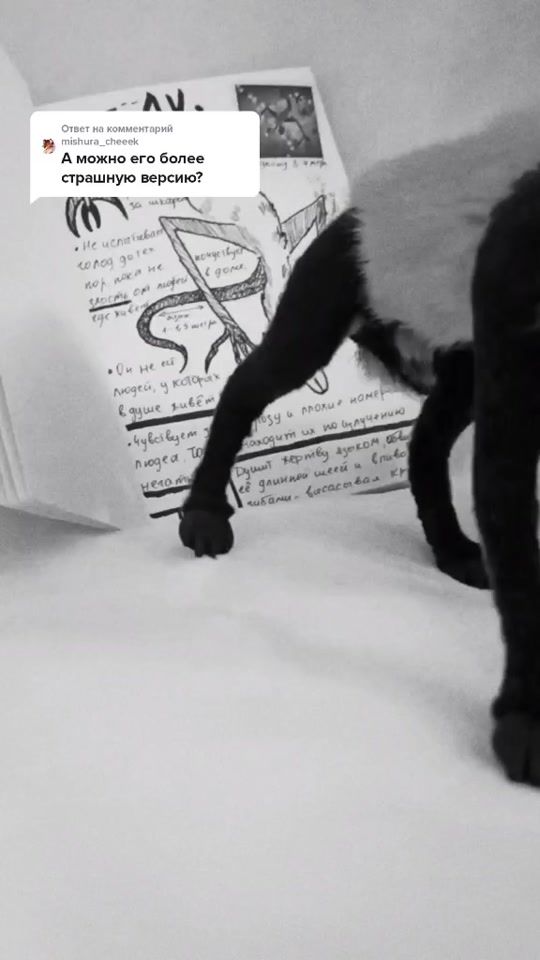TikTok video thumbnail by mystic__wood