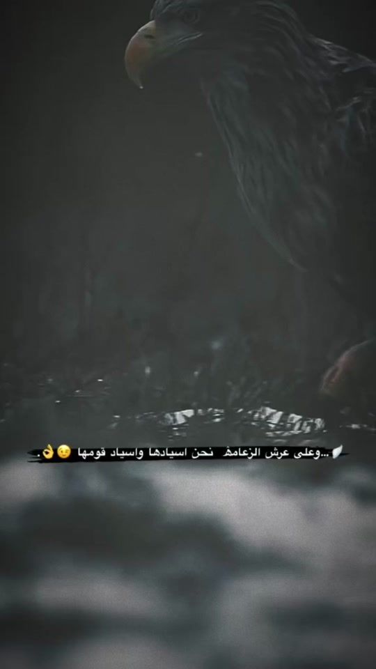 TikTok video thumbnail by x.7rs._12k
