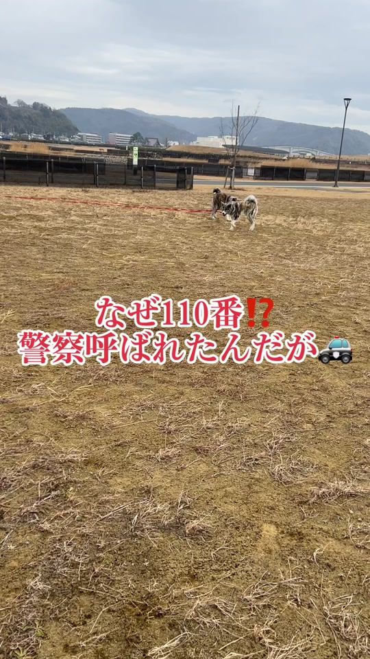 TikTok video thumbnail by h.p_akitainu