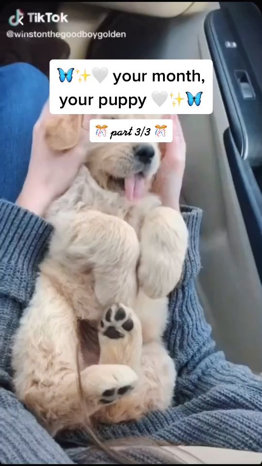 TikTok video thumbnail by bluredbliss