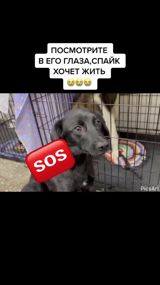 TikTok video thumbnail by usertca7vdqrk1