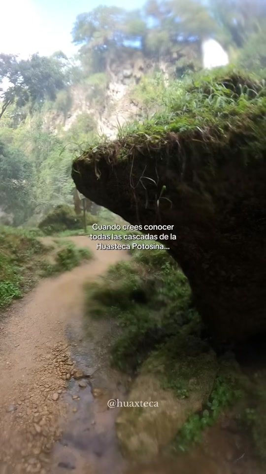 TikTok video thumbnail by huaxteca