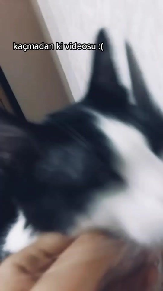 TikTok video thumbnail by cimenasknazar