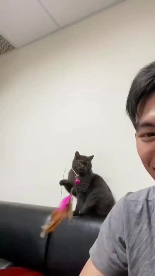 TikTok video thumbnail by discoverer_