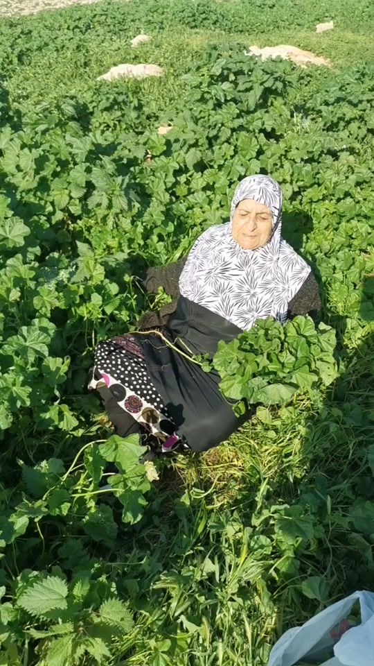 TikTok video thumbnail by qais_sh1