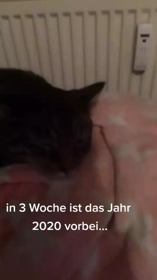 TikTok video thumbnail by cola.osborne_und.co