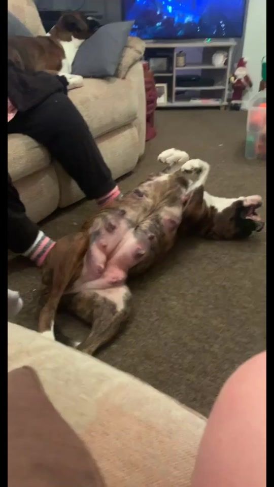 TikTok video thumbnail by ruelotbox