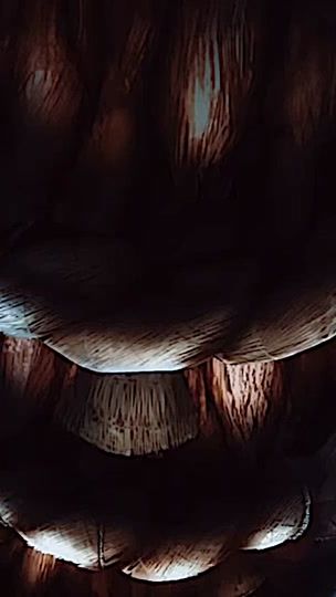TikTok video thumbnail by mumei.57