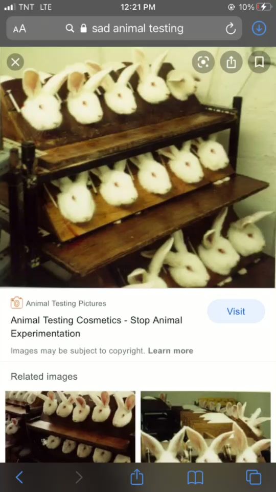 TikTok video thumbnail by brielleml