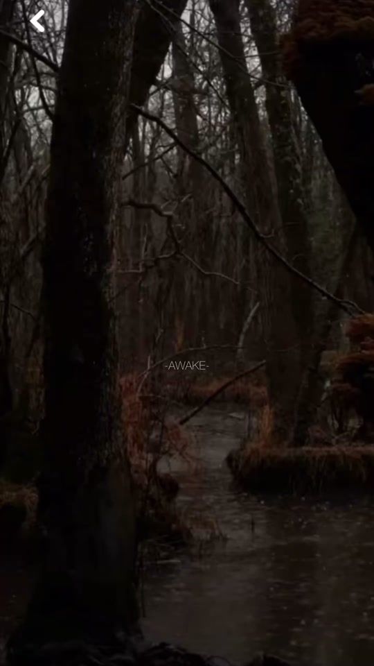 TikTok video thumbnail by laosong00