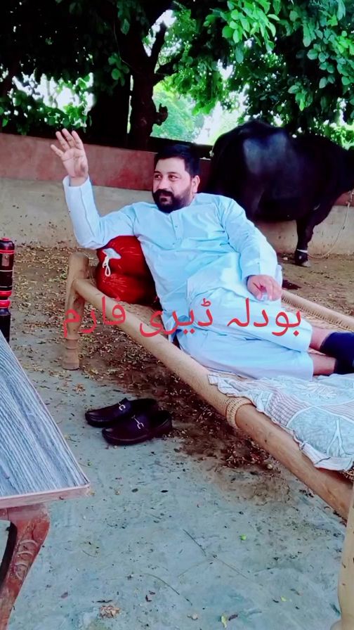 TikTok video thumbnail by apnibaithakwithmianibrar