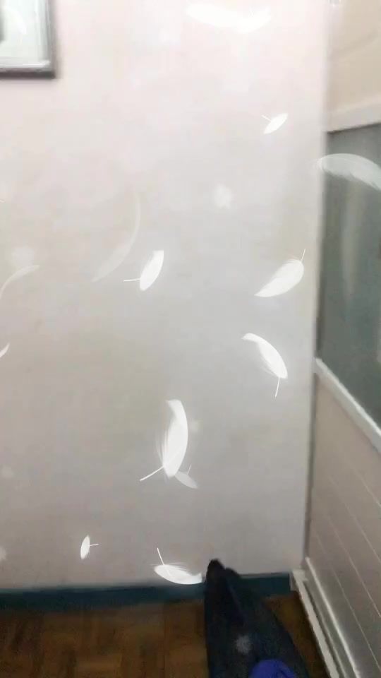 TikTok video thumbnail by liyangoh