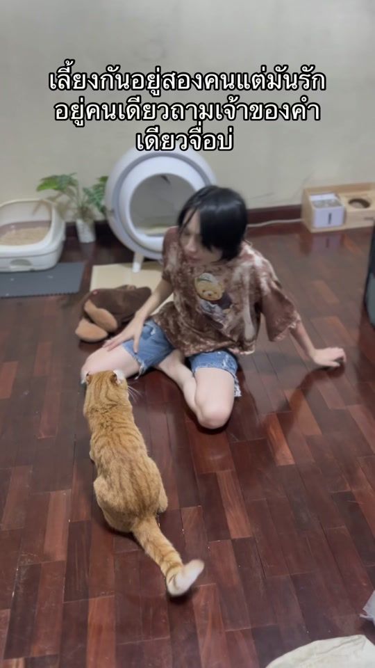 TikTok video thumbnail by thebobcat40