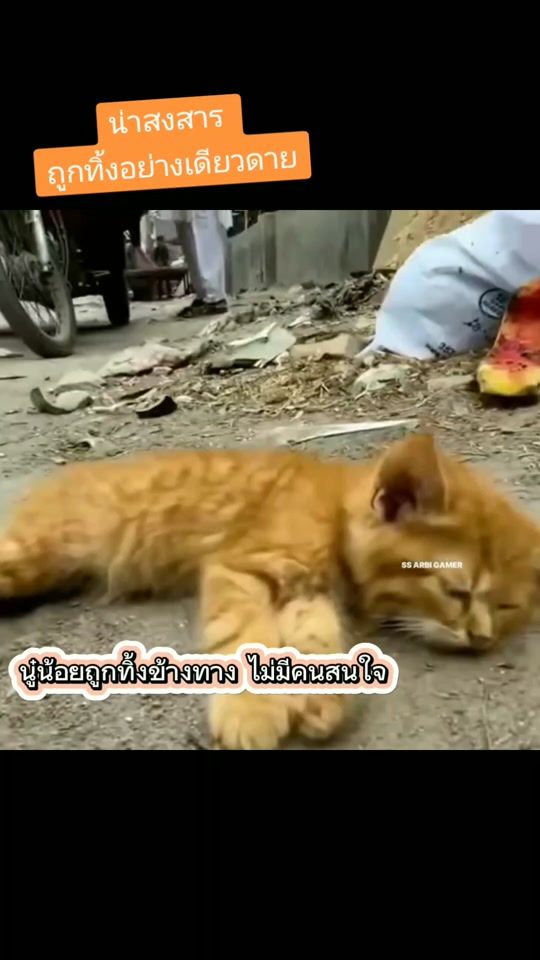TikTok video thumbnail by fanta.711