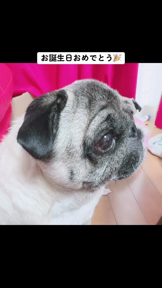 TikTok video thumbnail by miki_s.h.m