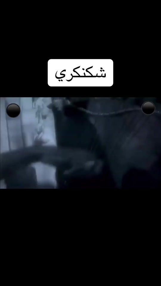 TikTok video thumbnail by mgahk88