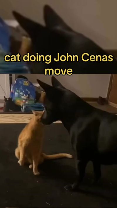 TikTok video thumbnail by dreamforks