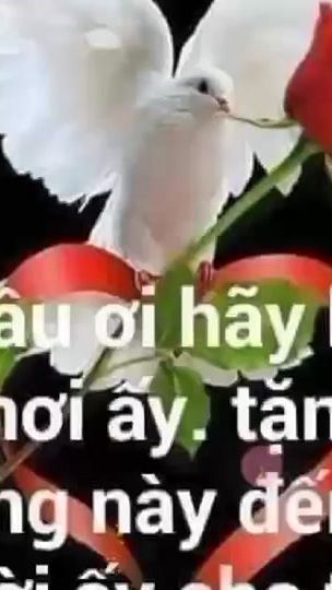 TikTok video thumbnail by user859140717
