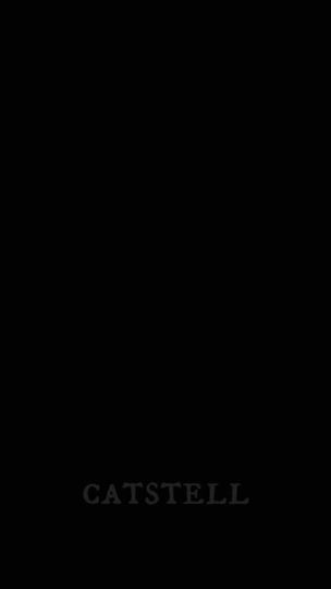 TikTok video thumbnail by catstell_