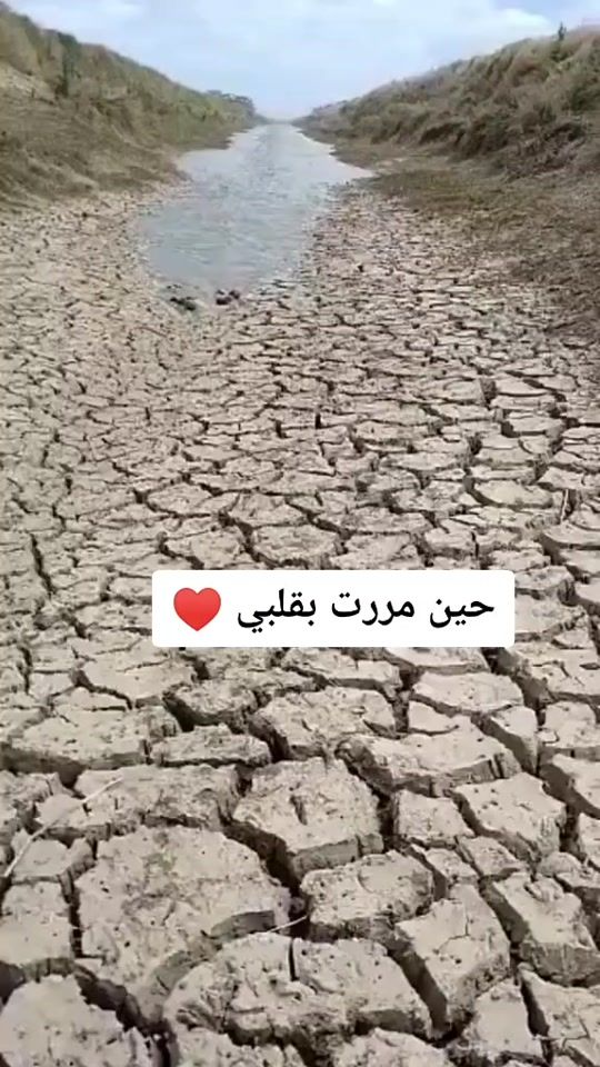 TikTok video thumbnail by basel_n