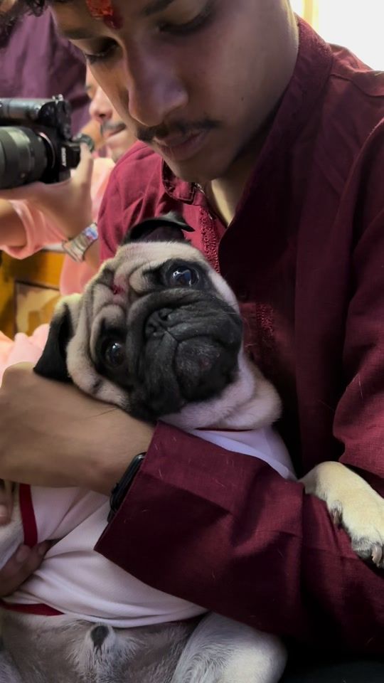 TikTok video thumbnail by zeuskarki