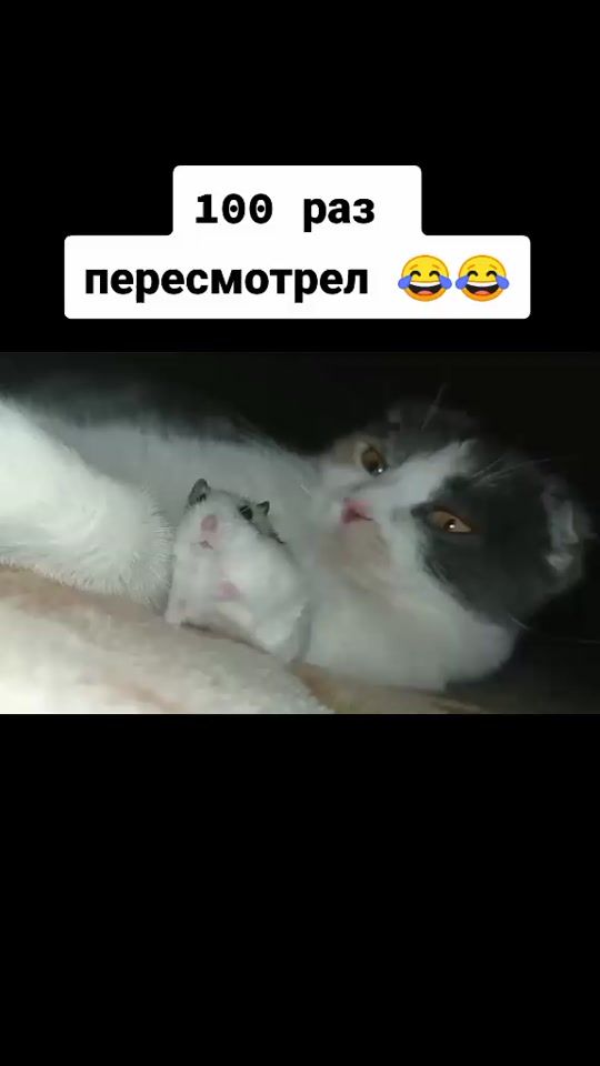 TikTok video thumbnail by user27159410653398
